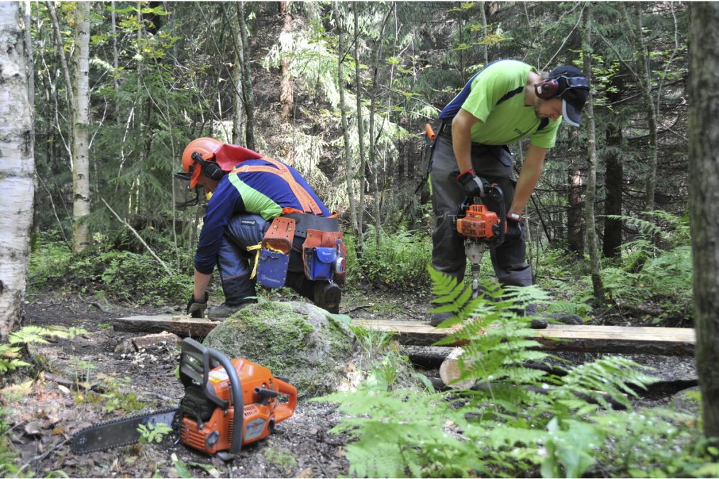 Staran työntekijät kunnostavat pitkospuita Paloheinän metsässä.