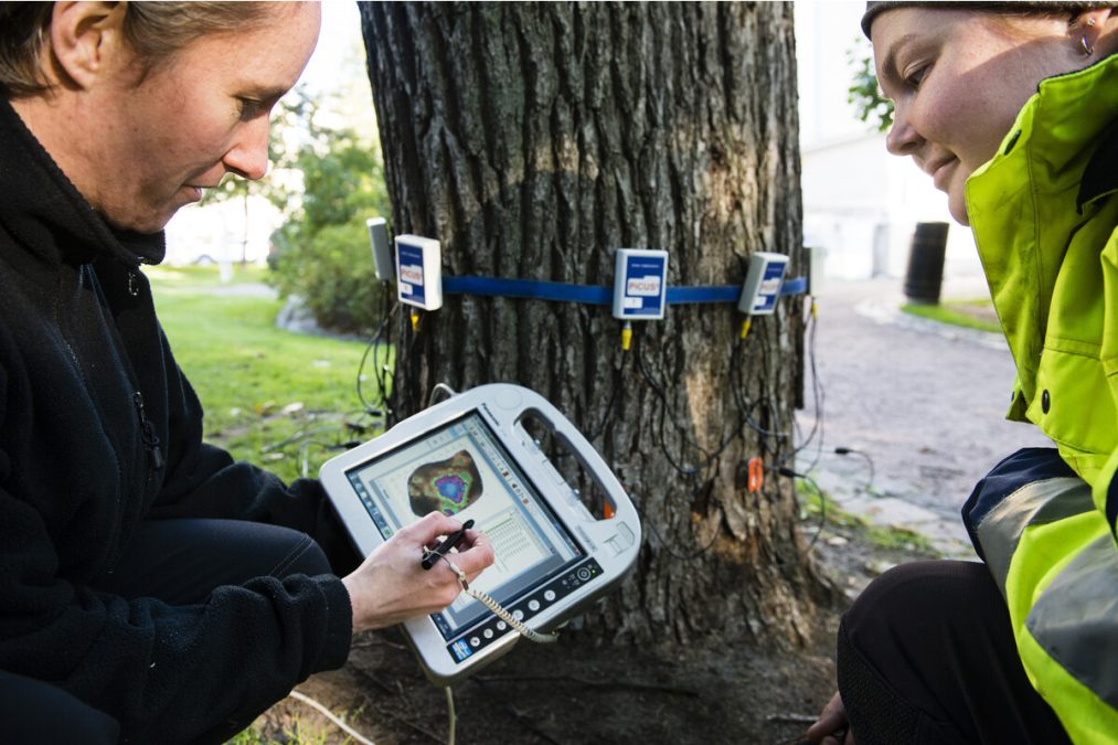 Arboristit skannaavat puuta digitaalisesti. Kuva: Veikko Somerpuro